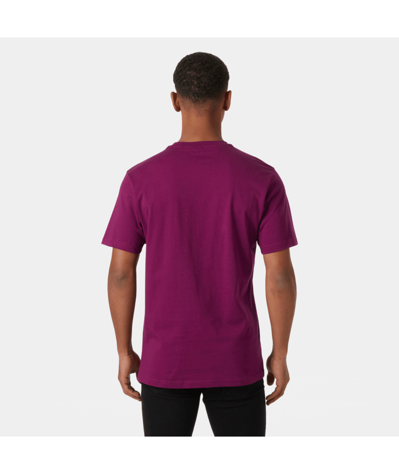 Helly Hansen Box T-shirt majica - muška