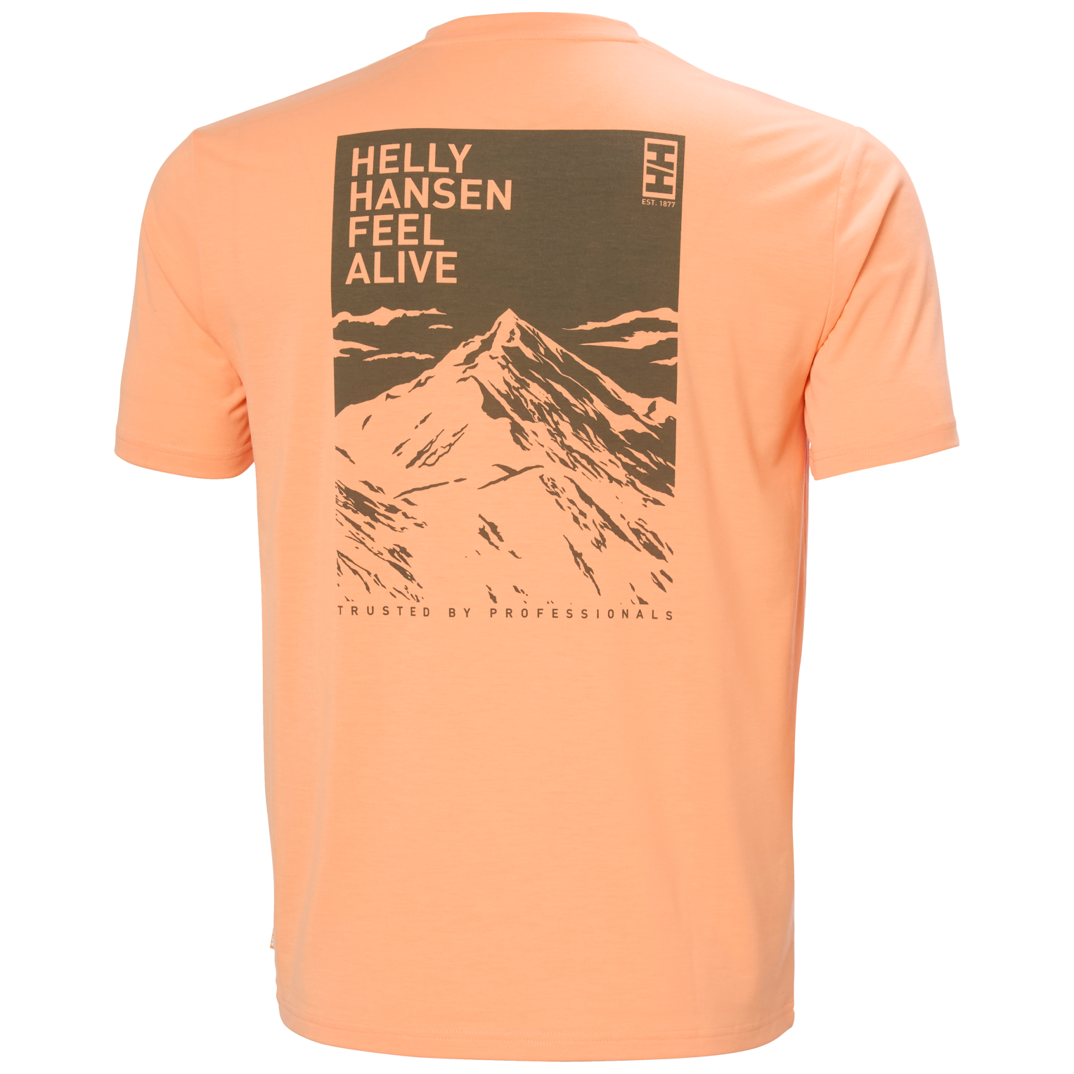 Helly Hansen SKOG GRAPHIC T-SHIRT - moška T-shirt majica