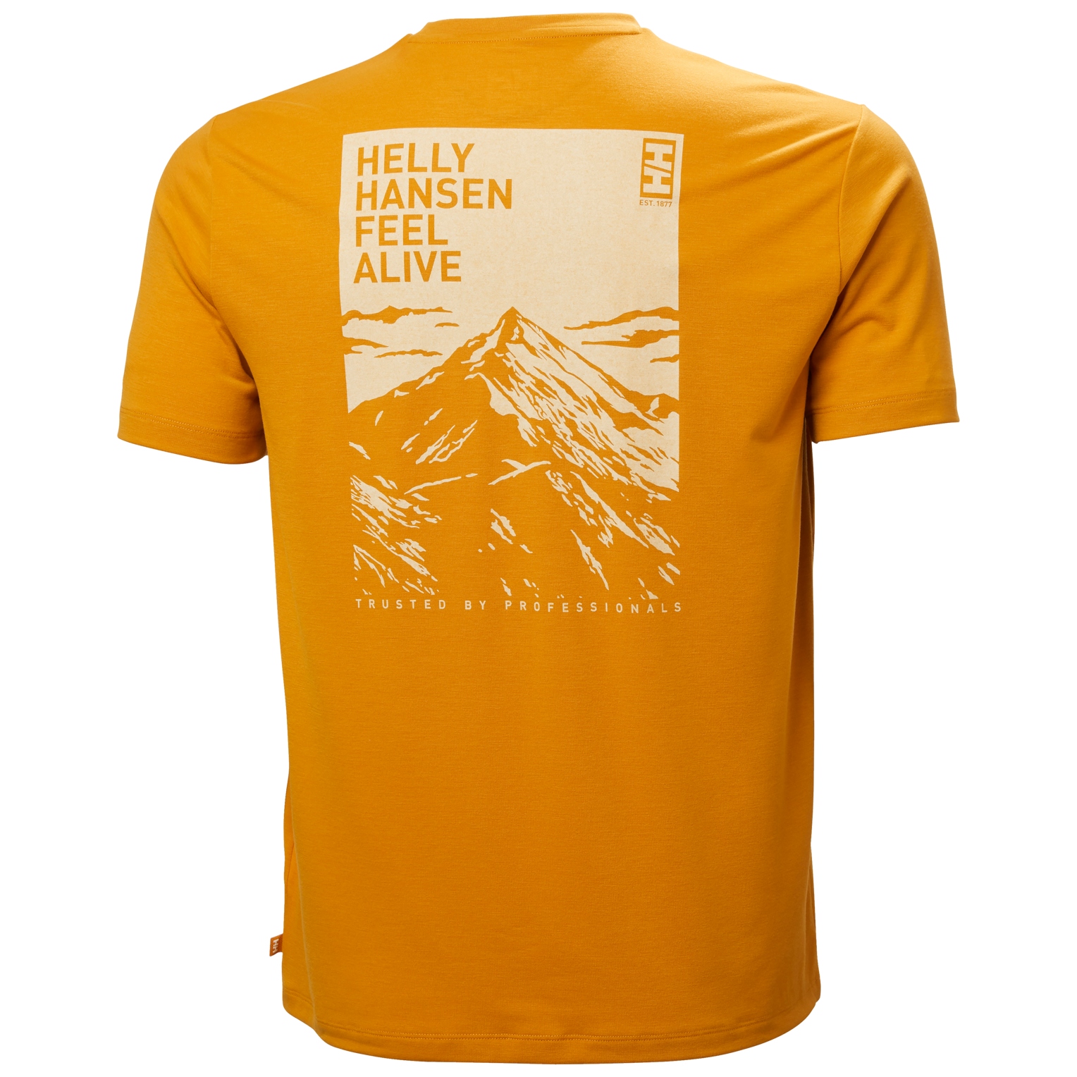 Helly Hansen Skog Recycled Graphic T-shirt majica - muška